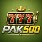 PAK500 Game