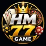 HM 77 Game